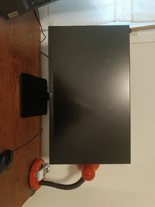 Monitor LG 24.5 Full HD 100Hz