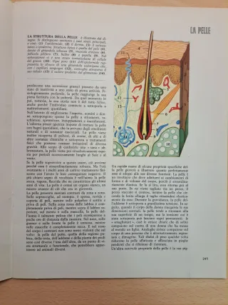 Moderna guida medica volume 2 - 1968