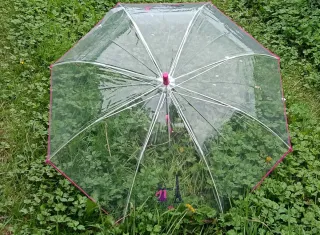 Paraguas transparente Nuvem automático