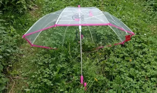 Paraguas transparente Nuvem automático