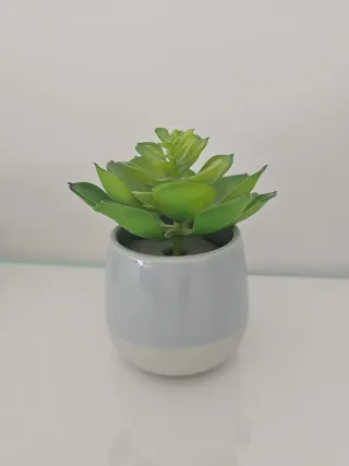 Planta Suculenta Artificial Decorativa