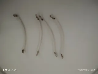 Lote Cables Hifi RCA, Jack, Banana