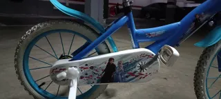 Bicicleta Frozen 14 con ruedines