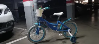 Bicicleta Frozen 14 con ruedines
