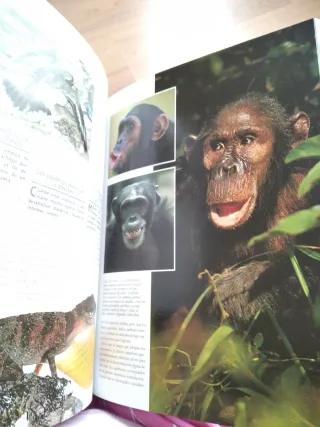 1000 Maravillas de La Naturaleza (Spanish Edition)