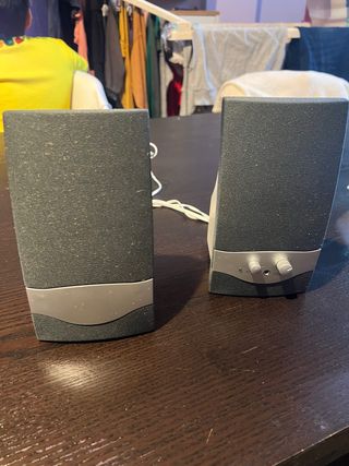 Altoparlanti PC Nero e Argento