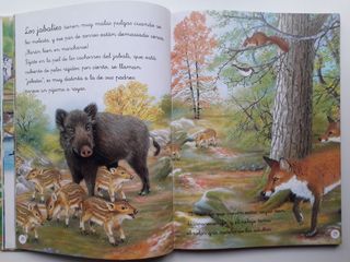 2x1 Dos libros infantiles