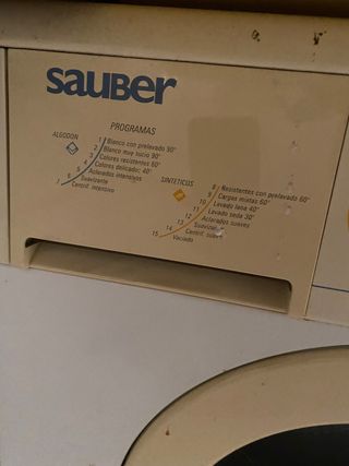 Lavadora Sauber