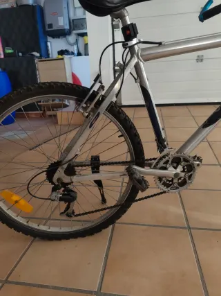 Bicicleta S3 Triangle BIOGENETIK DESIGN