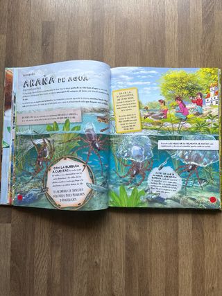 Animales constructores