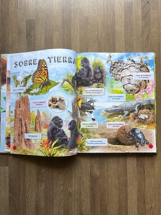 Animales constructores