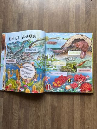 Animales constructores