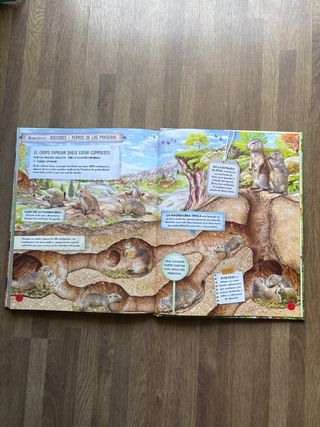 Animales constructores