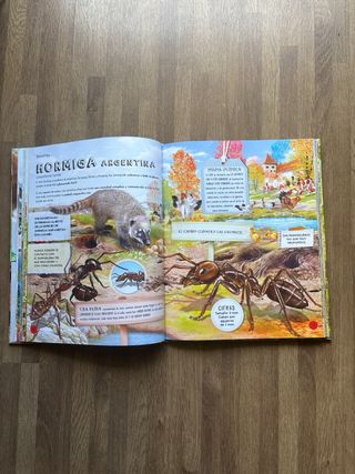 Animales constructores