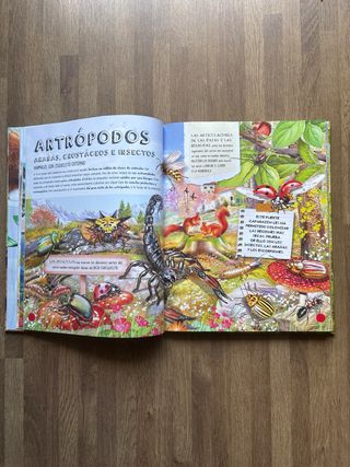 Animales constructores