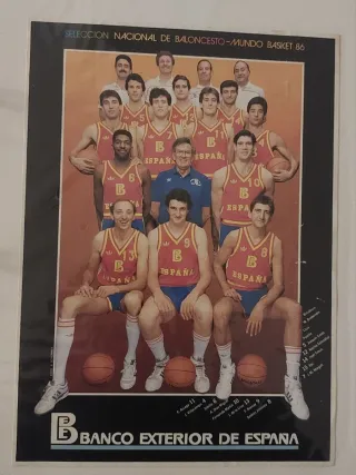 Lote Pegatinas antiguas Alimentación y Hogar (3).