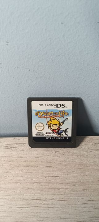 Drawn to Life: The Next Chapter DS