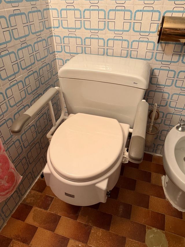 Baño adaptado con apoyabrazos