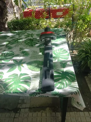 Tagliasiepi Carrefour