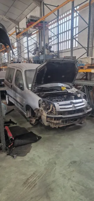 Despiece Citroen Berlingo Partner