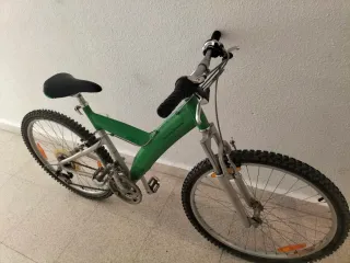 Bicicleta Montaña Verde Pirinfarina