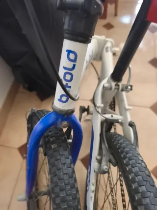 Bicicleta plegable aro 24