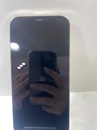 iPhone 12 Pro Max  Reacondicionado