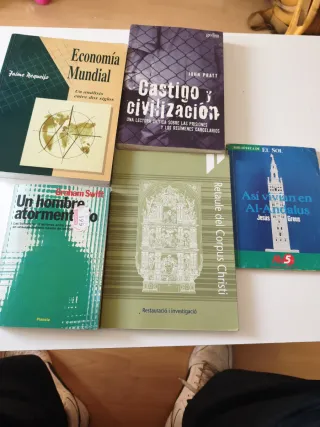 LOTE COMPLETO “La biblioteca de casa” (+30libros)
