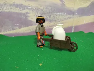 Playmobil Carro con Saco