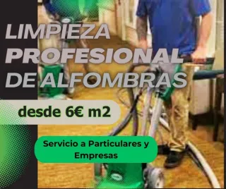 Limpieza de alfombras