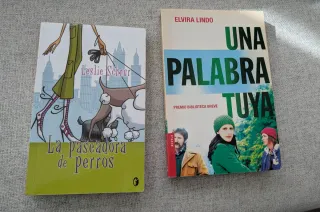 Novelas ligeras en español