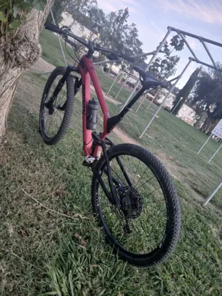 Radon Skeene Trail HD