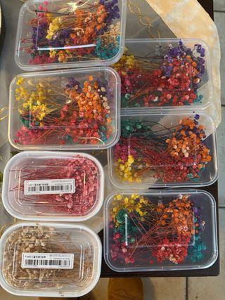 Fiori secchi colorati misti