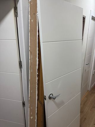 Puerta de paso 203/72