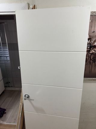 Puerta de paso 203/72