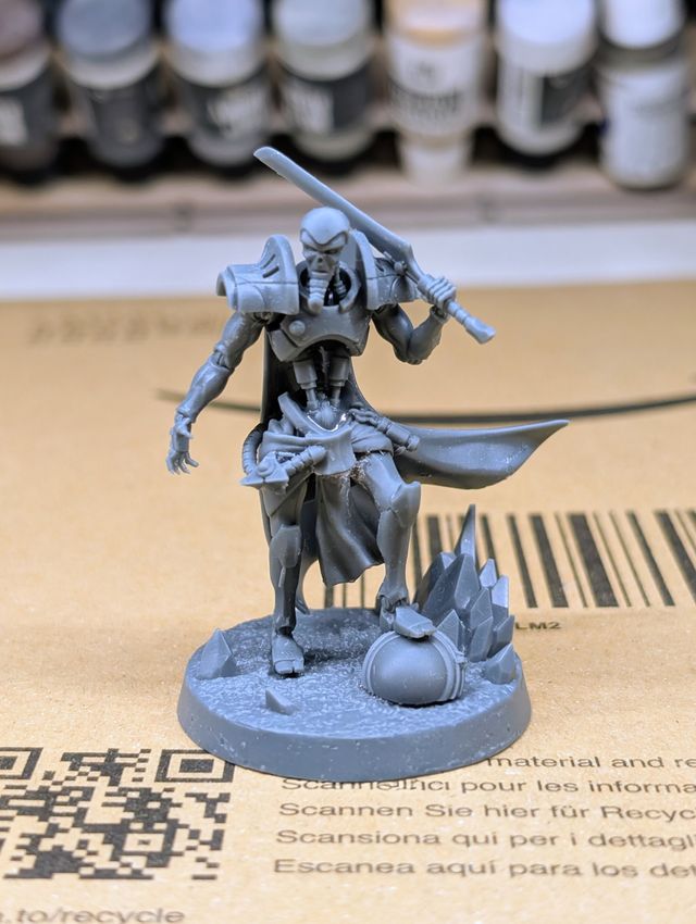 Necrones Necrontyr Perdido