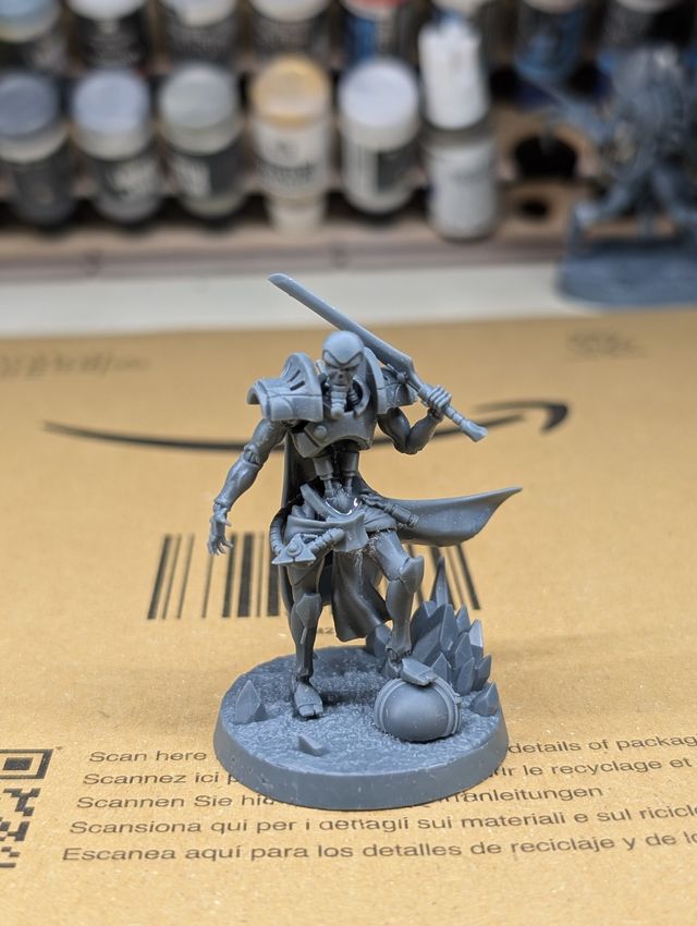 Necrones Necrontyr Perdido