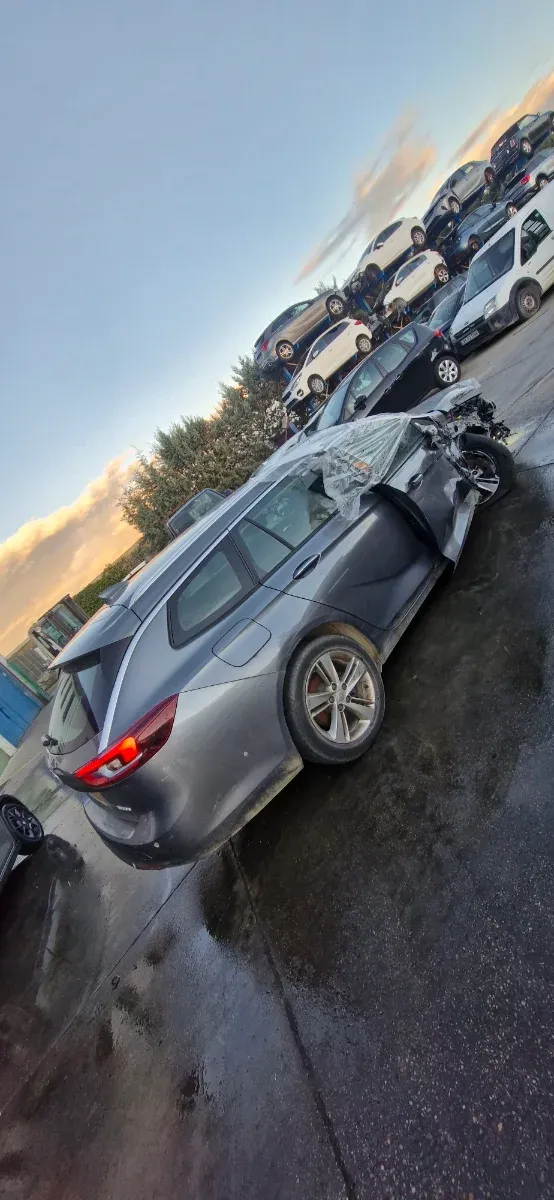 Despiece Opel Insignia B 2.0 CDTI