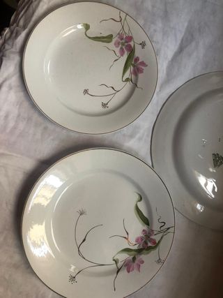 Servizio Piatti Richard Ginori con fiori rosa.