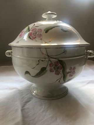 Servizio Piatti Richard Ginori con fiori rosa.