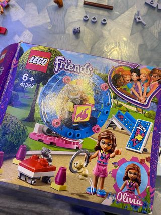 Set Lego Friends 41383