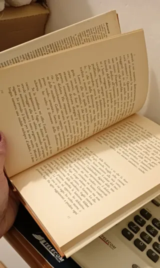 Amore - Giorgio Manganelli