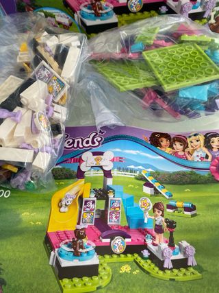 Set Lego Friends 41300