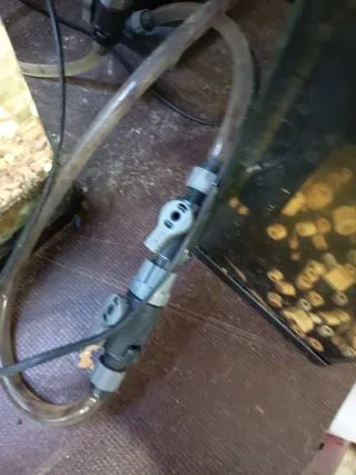 Acuario maduro completo