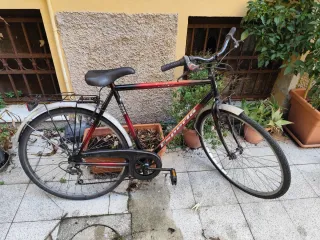 Bicicletta da uomo