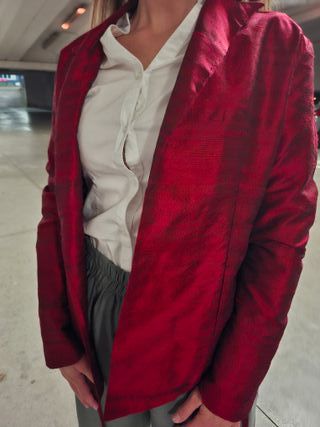 Giacca elegante lucente sartoriale