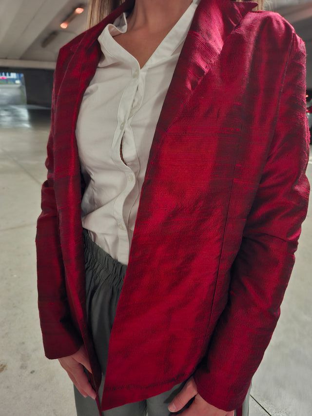 Giacca elegante lucente sartoriale