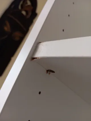 Librería Billy Ikea Blanca 40x39x202 cm