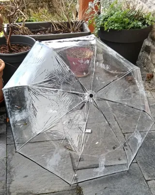 Paraguas Vogue Transparente Plegable