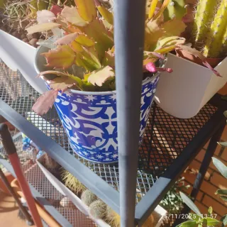 Estantería exterior gris Ikea